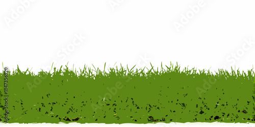 A simple illustration of green grass against a white background