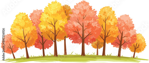 Autumn forest landscape with colorful orange and yellow trees, fall season nature park background, foliage illustration, cad drawing flat vector illustration