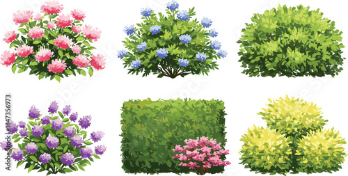 Collection of colorful garden bushes and green shrubs for landscape design, decorative foliage plants, natural hedge elements, cad drawing flat vector illustration