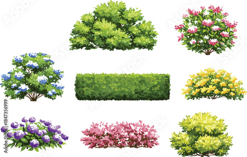 Realistic garden bush and colorful flower plant collection, green foliage hedge shrub landscape element, nature decoration, cad drawing flat vector illustration