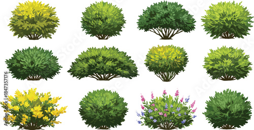 Realistic green bushes and garden shrubs collection, landscape plant set, foliage design elements for architecture, decorative nature background, cad drawing flat vector illustration