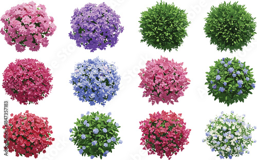 Colorful flower bush top view collection, garden plant foliage, realistic blooming shrub set, CAD drawing flat vector illustration, nature design elements