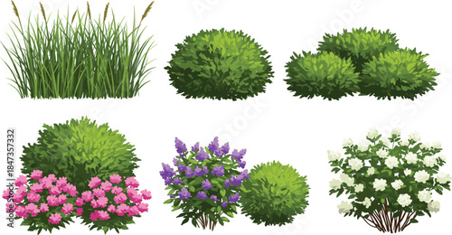 Realistic garden bushes and flowering shrubs set, green grass, landscape plant collection, nature foliage element, cad drawing flat vector illustration, outdoor greenery design