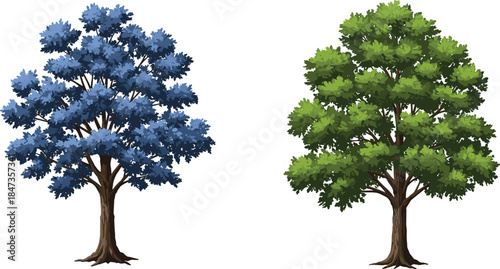 Blue foliage tree with vibrant leaves, green natural tree in forest landscape, seasonal outdoor nature design, cad drawing flat vector illustration
