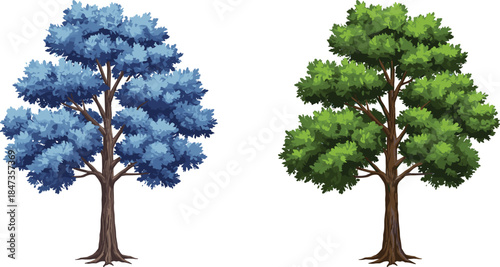 Blue foliage tree with vibrant leaves, green natural tree in forest landscape, seasonal outdoor nature design, cad drawing flat vector illustration