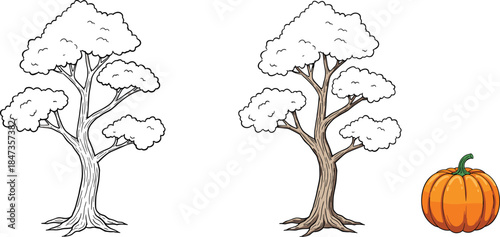 Black outline tree drawing, bare winter tree with branches, autumn pumpkin vegetable seasonal design, holiday nature artwork, cad drawing flat vector illustration