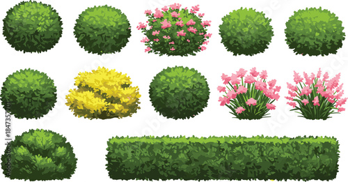 Green bush and pink flower plant collection for garden landscape design, natural foliage element, eco decorative shrub illustration, cad drawing flat vector illustration