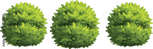 Green bush plant top view collection for landscape design, garden decoration, natural environment element, eco foliage illustration, cad drawing flat vector illustration