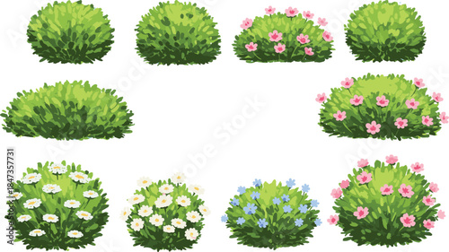Beautiful green bush and flower plant collection, garden foliage and floral shrubs, decorative landscape element, cad drawing flat vector illustration, natural greenery design