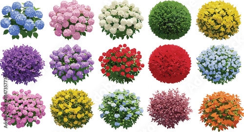 Colorful flower bushes garden collection, vibrant floral shrub set, blooming plants top view for landscape design, nature foliage art, cad drawing flat vector illustration