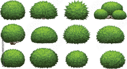 Green bush collection, natural foliage plants, garden shrub set, landscape elements, realistic greenery design, cad drawing flat vector illustration, nature vegetation, eco landscaping art