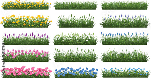 Colorful garden grass and flower border collection, spring floral decoration, natural landscape design, green meadow plants, cad drawing flat vector illustration
