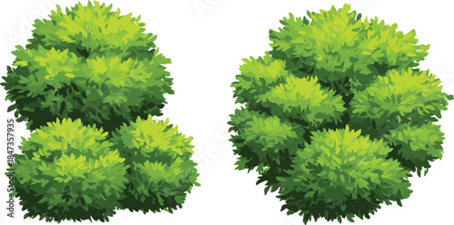 Green bush set, natural foliage illustration, garden plant collection, eco landscape element, nature greenery design, cad drawing flat vector illustration