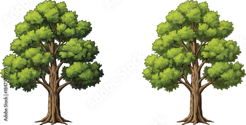 Two realistic green trees illustration, natural forest foliage, eco friendly landscape design, botanical nature art composition, summer greenery concept, CAD drawing flat vector illustration