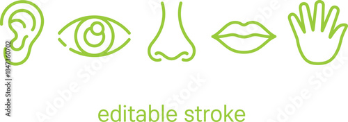 Human five senses line icons set showing ear eye nose lips hand editable stroke minimalist vector illustration