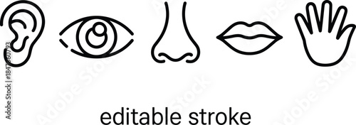 Human five senses line icons set showing ear eye nose lips hand editable stroke minimalist vector illustration