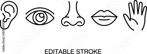 Human five senses line icons set showing ear eye nose lips hand editable stroke minimalist vector illustration