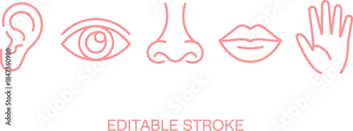 Human five senses line icons set showing ear eye nose lips hand editable stroke minimalist vector illustration