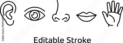 Human five senses line icons set showing ear eye nose lips hand editable stroke minimalist vector illustration