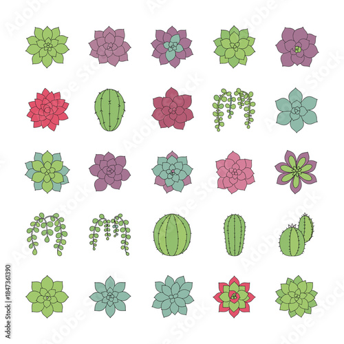 Succulent Plants and Cactus Outline Icon Set in Pastel Colors for Indoor Gardening and Houseplant Decoration