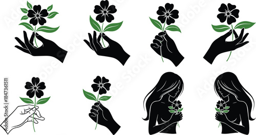 Black Silhouette of Hands and Female Figure Holding and Admiring a Simple Dark Flower with Green Leaves Vector Illustration Set