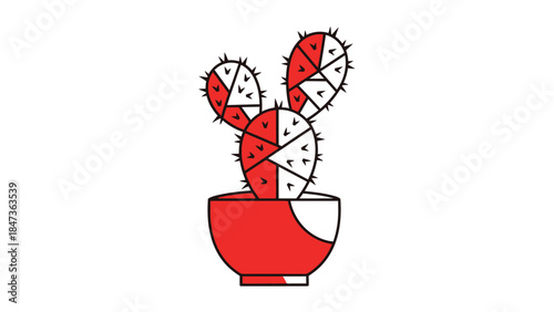 Cactus plant in red pot
