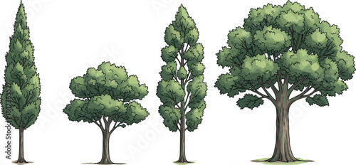 Collection of realistic green trees illustration set showing different shapes sizes nature forest botanical flat vector design for stock use