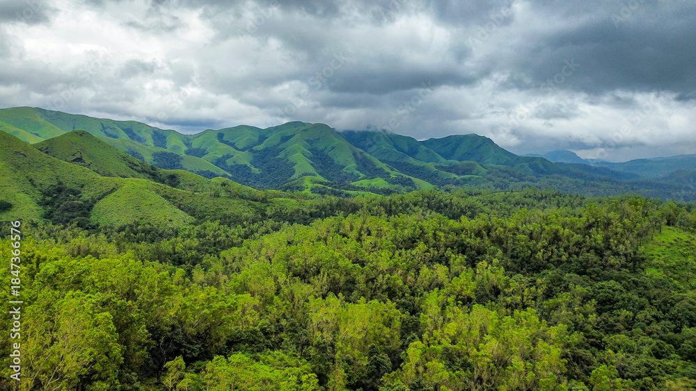 Obraz premium Kudremukh National Park