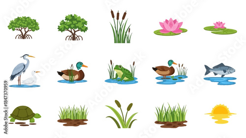 A collection of wetland plants and animals in a natural habitat illustration set.