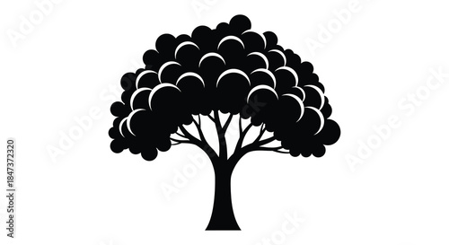 A striking black tree form with dense foliage a beautifully contrasted silhouette