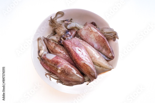 Fresh squids on white plate, raw natural seafood isolated on white background. Image on top view.