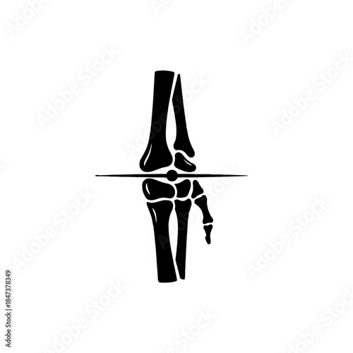 Anatomical View of Human Hand and Wrist Bones
