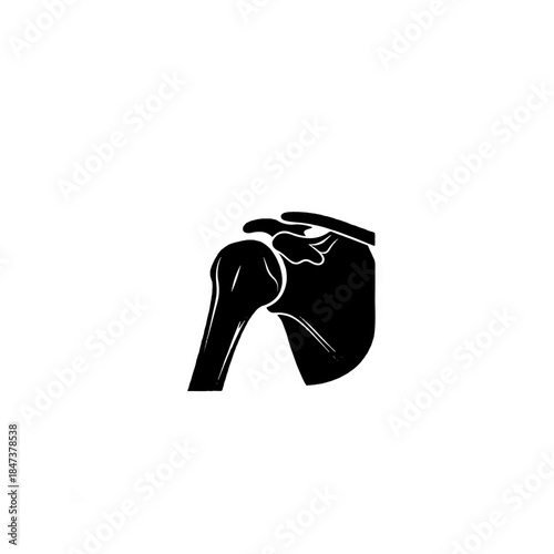 Human Shoulder Anatomy Illustration