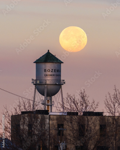 Tableau sur toile Bozeman Water Tower Moonset