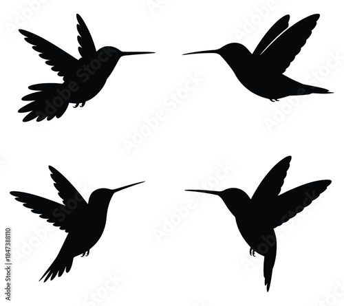 Set of black and white hummingbird silhouettes, perfect for nature and animal designs