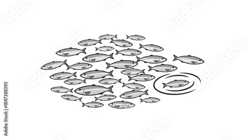 A school of fish swimming together with one fish swimming in a different direction.