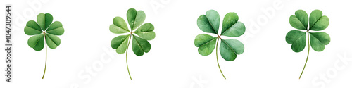 Watercolor Four Leaf Clover Set on White Background