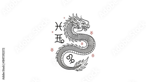 Zodiac dragon symbol with astrology signs and floral elements on white