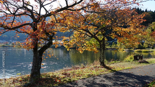 Εκτύπωση καμβά Lake Yogo – The Mirror Lake of Shiga, Japan