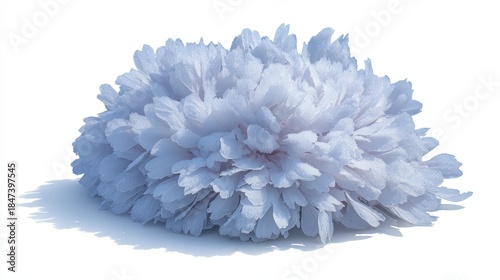 Frost petal snow isolated on white background