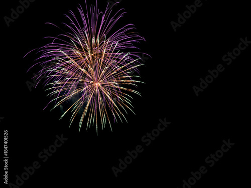 Pastel multicolor fireworks overlay blooming on black background, soft purple, green and gold strands radiating from center, refined rounded pyrotechnic sphere perfect for elegant festive celebration 