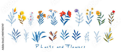 Floral border with flowers, plants in summer field vector illustration. Botanical decoration, blossom in garden, nature isolated on white background.