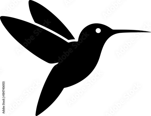 Bird silhouette vector illustration