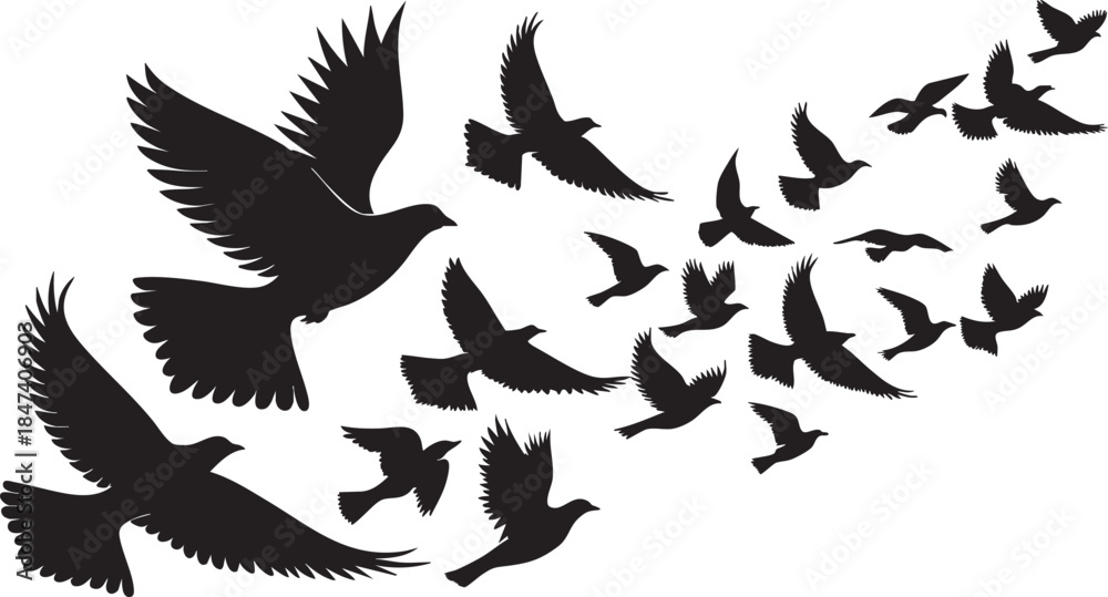 Fototapeta premium Flowing Birds in Flight Black Vector Silhouette with Elegant Abstract Motion