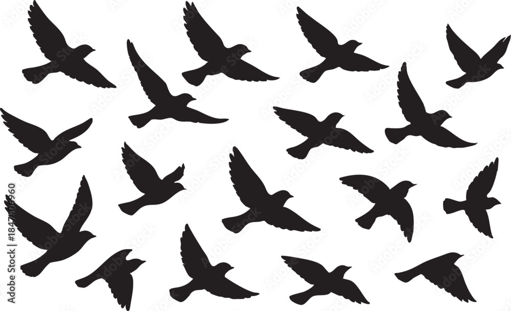 Fototapeta premium Flowing Birds in Flight Black Vector Silhouette with Elegant Abstract Motion