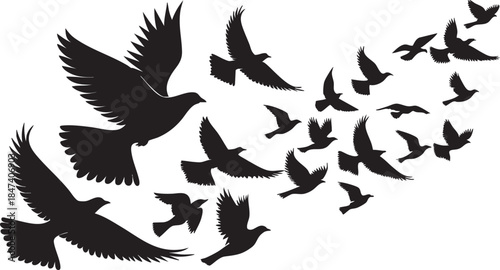 Flowing Birds in Flight Black Vector Silhouette with Elegant Abstract Motion