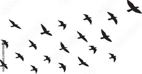 Flowing Birds in Flight Black Vector Silhouette with Elegant Abstract Motion