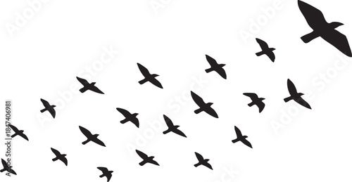 Flowing Birds in Flight Black Vector Silhouette with Elegant Abstract Motion