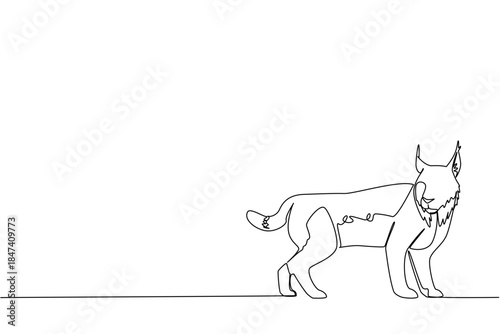 Single line drawing of a lynx, shown in a poised full body stance and another in a leaping position, created for International Lynx Day to highlight animal movement and wildlife conservation
