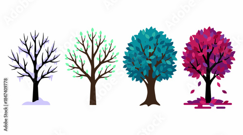 Four vector trees showing seasonal changes: winter snow, spring buds, summer leaves and colorful autumn foliage falling, concept for web design, seasonal marketing campaigns and educational graphics
